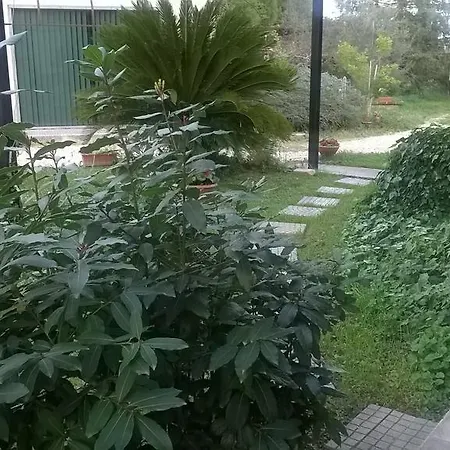 Ferienhaus Il Cerreto *