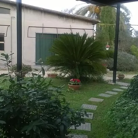 Il Cerreto *