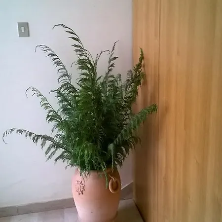 Ferienhaus Il Cerreto